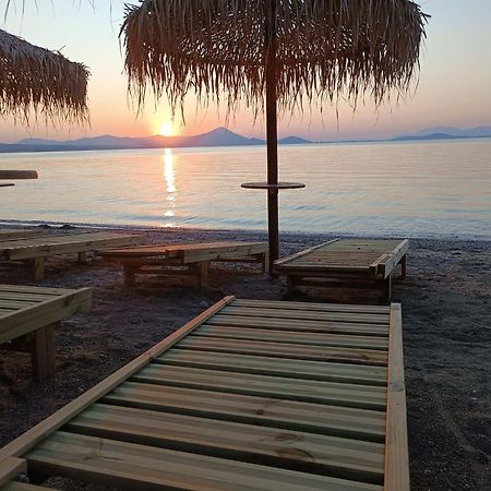 Μοντέρνα Εξοχική Μονοκατοικία Με Ιδιωτική Πισίνα! Khalkoutsion Exteriér fotografie