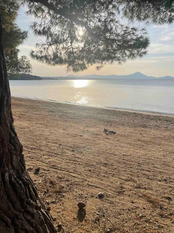 Μοντέρνα Εξοχική Μονοκατοικία Με Ιδιωτική Πισίνα! Khalkoutsion Exteriér fotografie