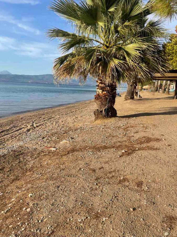Μοντέρνα Εξοχική Μονοκατοικία Με Ιδιωτική Πισίνα! Khalkoutsion Exteriér fotografie